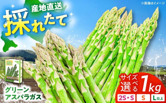
                   【選べるサイズ】グリーンアスパラガス 1kg （2S・S・Lサイズ/露地栽培）《喜茂別町》【久保田農園】 アスパラ あすぱら アスパラガス あすぱらがす グリーンアスパラ 冷蔵 冷蔵配送 野菜 春野菜 [AJAM009]
                