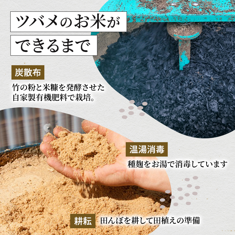 米 定期便 6ヶ月 ツバメの飛び交う 棚田米 5kg コシヒカリ 精