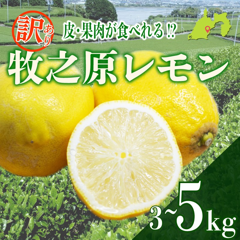 
                  【訳あり】レモン 3~5kg わけあり れもん 檸檬 Lemon 柑橘類 柑橘 フルーツ 果物 酸っぱい 果肉 酸味 璃の香 防腐剤不使用 牧之原レモン 静岡県 牧之原市 果肉食べられる 自宅用 贈答品 レモンスカッシュ レモンパウンドケーキ レモンサワー くだもの 家庭用 静岡県産 農家直送 産地直送 産直 ビタミン グリーンレモン イエローレモン おすすめ 美味しい りのか
                