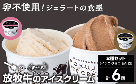 放牧牛 アイスクリーム2種（イチゴ・チョコ　各3個）計6個 【池田牧場】 アイス スイーツ デザート 冷凍 卵不使用 北海道ふるさと納税
