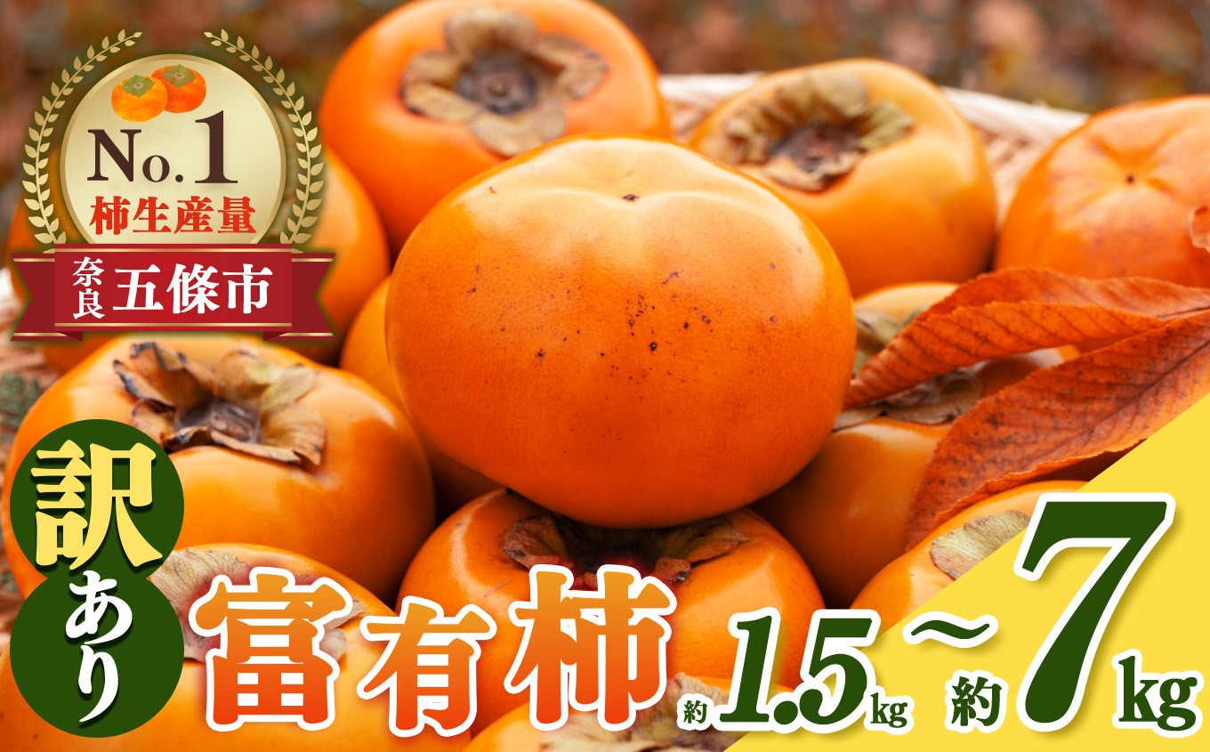 
                  富有柿 わけあり ！ 約1.5kg ～ 約 7kg | 訳アリ 訳あり 家庭用 ご家庭用 奈良 お歳暮 秋 味覚 フルーツ 果物 くだもの 柿 かき カキ 奈良県 五條市
                