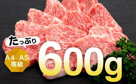 【A01018】鹿児島県産黒毛和牛カルビ焼肉用〈約600g〉_イメージ2