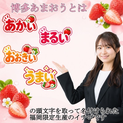 【発送月固定定期便】博多あまおう 250g-270g×2パック(岡垣町)全3回【配送不可地域：離島】
