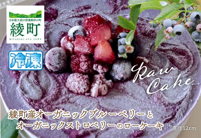 綾町産オーガニックブルーベリーとストロベリーのローケーキ_0098-002
