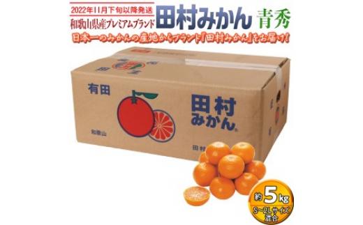 
【2022年11月下旬以降発送】和歌山県産プレミアムブランド田村みかん 青秀 5kg｜くだもの 果物 フルーツ 柑橘 蜜柑 ミカン 産地直送※2022年11月下旬～2023年1月中旬に順次発送予定※離島への配送不可※着日指定不可
