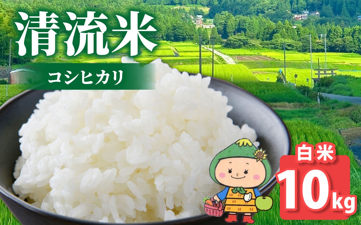 
                  【令和7年産】【福井県大野市】さかだに棚田清流米！(コシヒカリ)（白米）10kg「今話題の、あのバンドのロケ地！」#🍏
                
