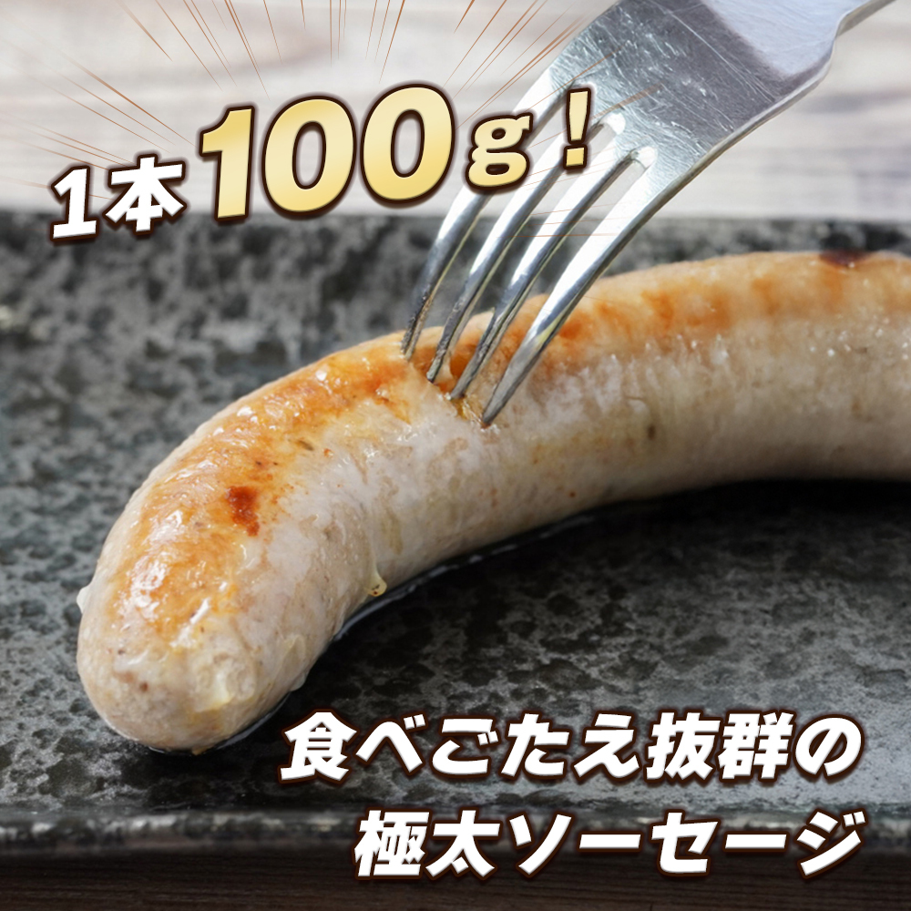 生ポークソーセージ　100g×15本入り　　[ソーセージ 国産 豚肉 ポークソーセージ  ソーセージ]_イメージ2