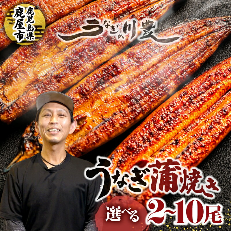 【ふるさと納税】【土用の丑の日特集】＜選べる＞＜国産＞昭和56年創業 うなぎの川豊 有頭 蒲焼き 2尾〜10尾 セット（1尾あたり約125g〜150g）たれ 山椒 惣菜 総菜 冷凍 鰻重 ひつまぶし 魚 土用の丑 MNB 鹿児島 鹿屋市 おすすめ ランキング プレゼント ギフト