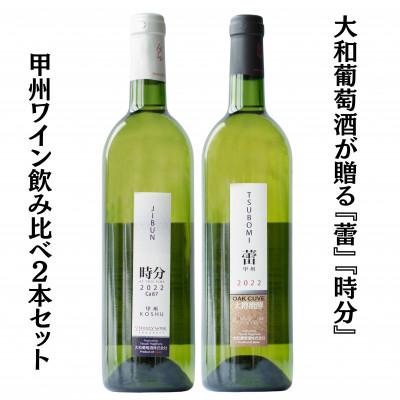 ふるさと納税 甲州市 大和葡萄酒が贈る『蕾』『時分』甲州ワイン飲み比べ2本セット　B16650