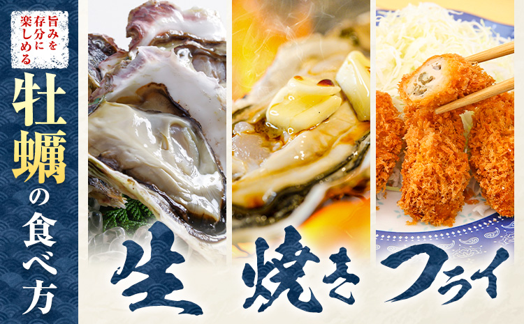 北海道大津産 産地直送 生 牡蠣 20個 大津漁業協同組合《5月中旬-6月下旬頃出荷》北海道 豊頃町 北海道産 生牡蠣 生食用 カキ 牡蠣 かき---toyokoro_ogk_1_20p---