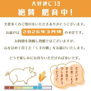 【訳あり】くすの豚 3.6kg くすの豚 国産 豚肉 詰め合わせ セット 6種 3.6kg 200g 250g 小分け 真空パック 冷凍 訳あり 肉料理 焼肉 しゃぶしゃぶ 鍋料理 バラ 肩ロース ロ