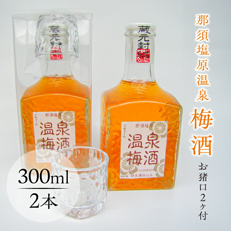 【ふるさと納税】那須塩原温泉 梅酒 お猪口2ヶ付 栃木県 那須塩原市 お酒 アルコール 温泉水 日本酒 まろやか 甘み ロック ソーダ割 梅 国産 常温 お取り寄せ 送料無料