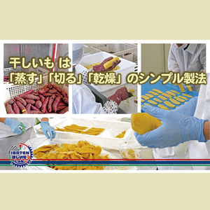 BH-9　【バラ詰め】ほしいもホワイト（スペシャル）500g　化粧箱入　ギフト　贈答　茨城県産