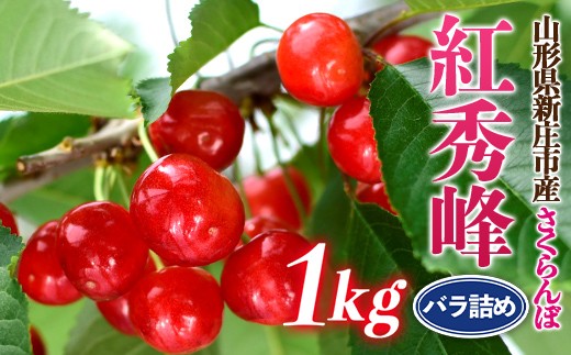 
                  山形県 新庄市産 柏倉さん家の紅秀峰 1kg バラ詰め サクランボ 果物 くだもの フルーツ デザート さくらんぼ 贈答 贈り物 ギフト プレゼント 中元  家庭用 自宅用 F3S-2824
                