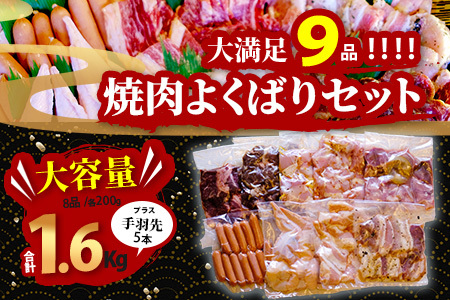 【数量限定】 村上精肉店の 焼肉 よくばりセット 【 9品 味付き 焼くだけ 】 牛カルビ ハラミ 豚バラ タン トントロ 鶏せせり 鶏もも 手羽先 ウインナー 焼き肉 BBQ アウトドア キャンプ 