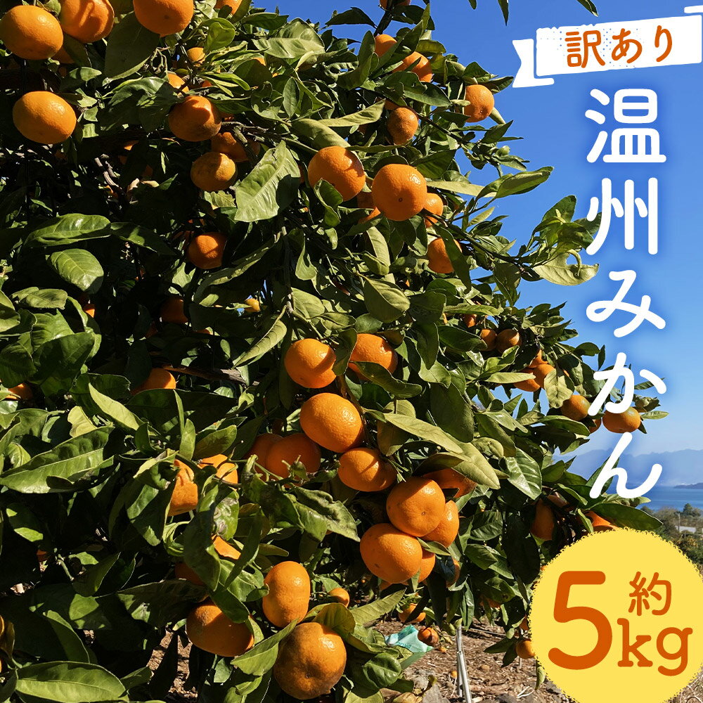 【ふるさと納税】【訳あり】 太陽と潮風を浴びて育った 長崎県時津町産 温州みかん 約5kg 2S～3Sサイズ ご家庭用 柑橘 蜜柑 九州産 長崎県産 果物 フルーツ 送料無料【2025年11月上旬~2025年12月下旬に順次発送予定】