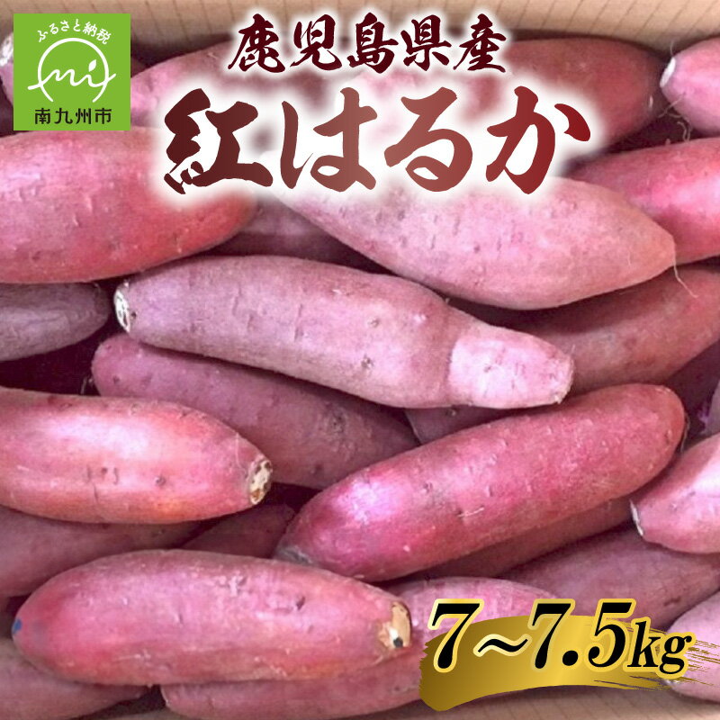 【ふるさと納税】鹿児島県産紅はるか7～7.5kg