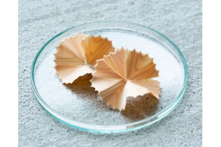 No.336 木聞器ブラックチェリー製杯型香筆シャープナー【スペシャルセット】500g