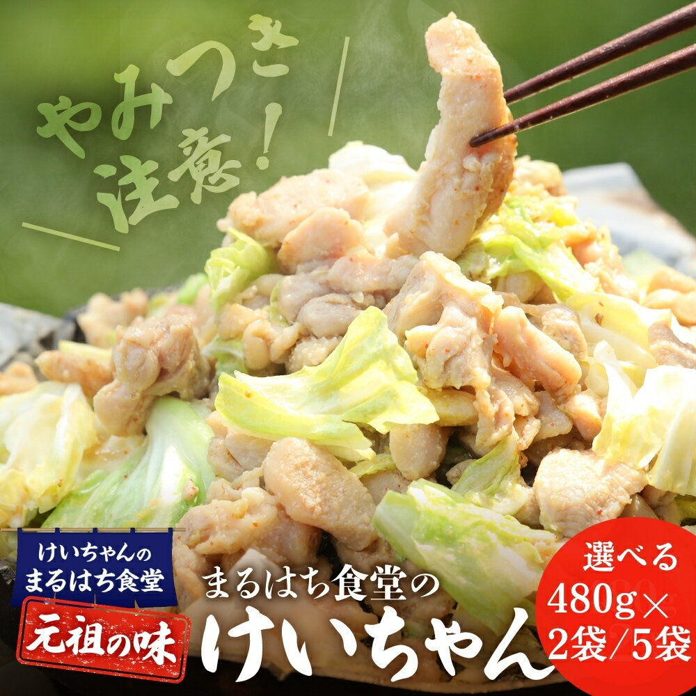 【ふるさと納税】鶏ちゃん発祥の名店「まるはち食堂」こだわり抜かれた下呂の味！！けいちゃん 480g×2（約6人前）/ 480g×5（約15人前）冷凍　下呂温泉 鶏肉 B級グルメ 人気 ご飯のお供 バーベキュー アウトドア まるはち ケイちゃん 1岐阜県 下呂市