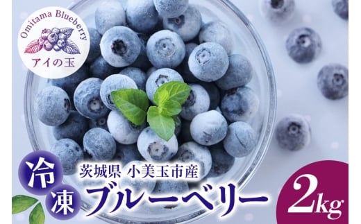 《数量限定・期間限定》【アイの玉】冷凍ブルーベリー　2kg ブルーベリー 冷凍 フルーツ 果物 冷凍フルーツ 冷凍果物 くだもの 新鮮 国産 スムージー ジュース ビタミンE アントシアニン ジャム 健康 美容 食物繊維 数量限定 期間限定 73-L 【2026年10月1日～2026年5月31日順次発送予定】