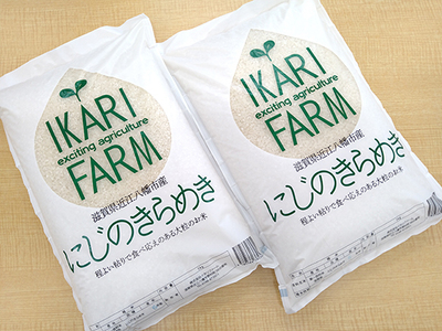 【新米】【7年産】 にじのきらめき 白米 10kg ( 5kg × 2袋 ) 大粒 で食べ応えあり 【C060U2】 近江米 にじのきらめき