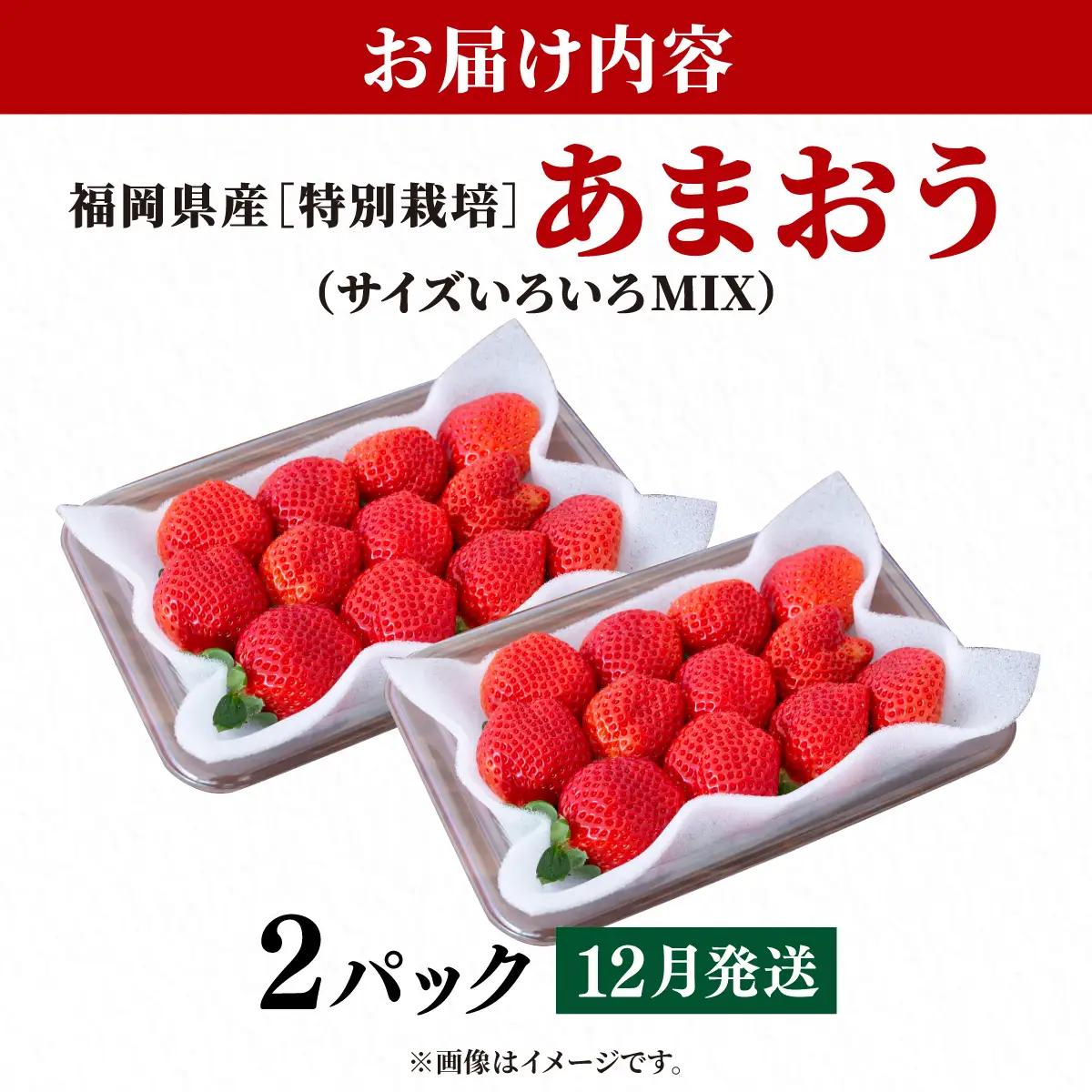 いちご 福岡県産 特別栽培 あまおう サイズいろいろMIX 約570g（約285g×2パック）【12月発送】