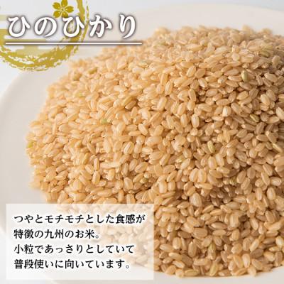 ふるさと納税 出水市 鹿児島県出水市産ひのひかり　玄米6kg_I504 |  | 01