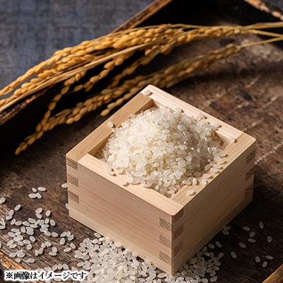 ふるさと納税 藤崎町 青森県産　まっしぐら　白米10kg |  | 01