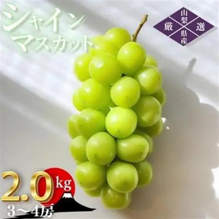 【2026年発送】山梨県山梨市産 朝採れ シャインマスカット 2.0kg (3～4房)【配送不可地域：離島・沖縄県】【1691269】