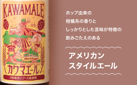 ≪先行予約≫カワマエール（KAWAMALE）3本  | SB001-3s