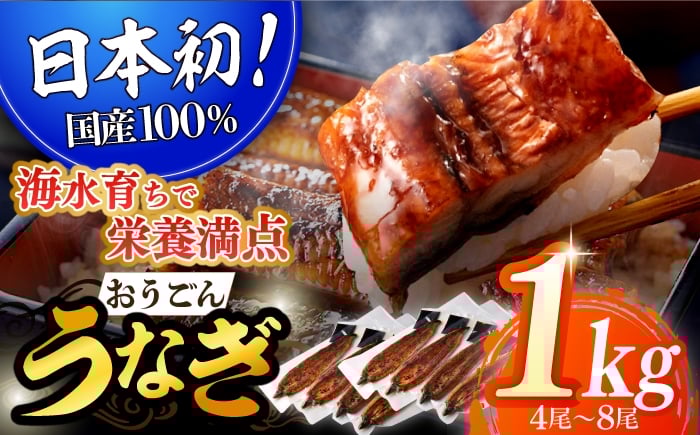 
            【着日指定 可能】【日本初！海水で養殖】長崎県産おうごん うなぎ 松セット 約1kg（4尾〜8尾） 平戸市 / 松永水産 うなぎ 鰻 ウナギ 土用丑の日 九州産 蒲焼 かばやき   [KAB128]
          