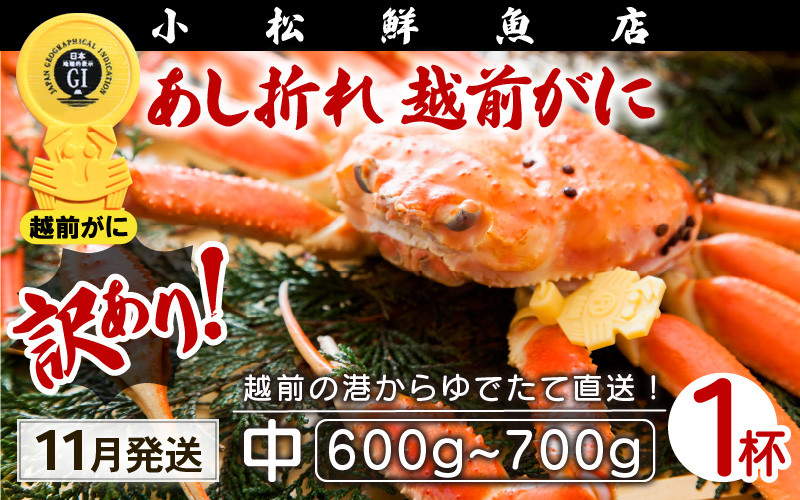 
【訳あり】越前がに本場の越前町からお届け！足折れ 越前がに 浜茹で 中サイズ（生で600～700g） × 1杯【かに カニ 蟹】【福井県 越前町 雄 ズワイガニ ボイル 冷蔵 越前ガニ 越前かに 越前カニ ずわいがに ずわい蟹 かに カニ 蟹】【11月発送分】希望日指定可 備考欄に希望日をご記入ください [e23-x001_11]
