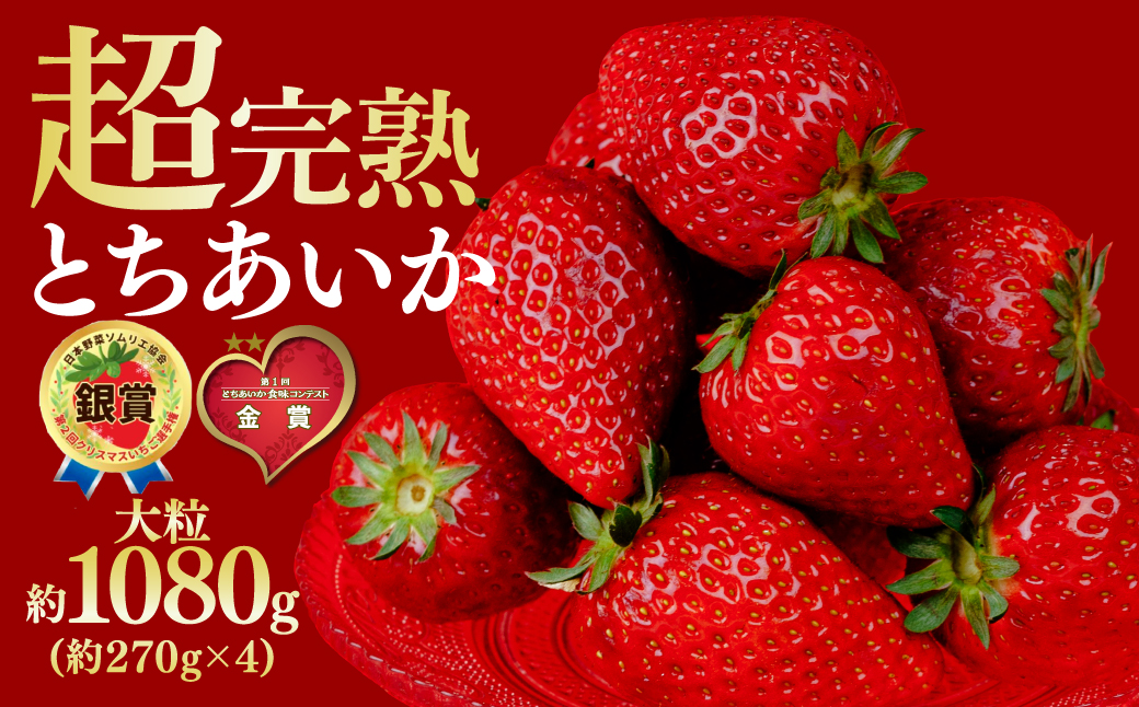 【先行受付：2月以降発送】いちご 鈴木ファームの完熟＆朝採れ とちあいか 大粒 約270g × 4パック 合計 約1080g | いちご イチゴ 苺 とちあいか とちおとめ 完熟 甘い あまい 果物 フルーツ くだもの 旬 産地直送 栃木県産 鈴木ファーム 栃木県 茂木町