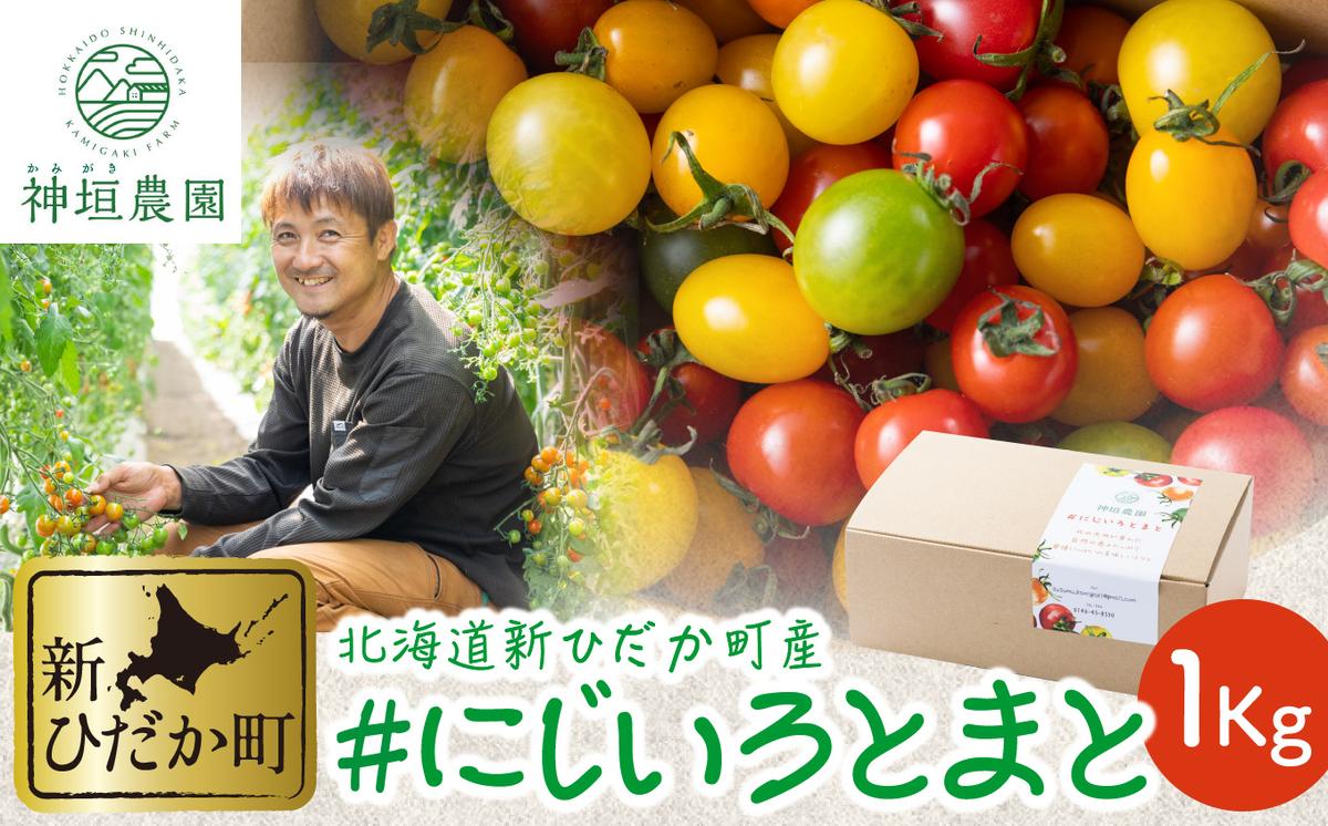 ＜ 9月30日までの受付 ＞ 北海道産 カラフルトマト ミニトマト 1kg  ＃にじいろとまと