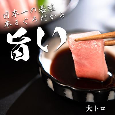 ふるさと納税 大月町 【高知県産 養殖本マグロ】大トロ 150g 黒潮本まぐろ 刺身用 小分け柵 急速冷凍 最優秀賞受賞 |  | 01