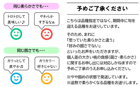 【令和6年産先行予約】 もも 約3kg (7～11玉) 《令和6年8月頃～発送》 『生産者 佐藤 勇二』 桃 モモ 果物 フルーツ 産地直送 生産農家直送 山形県 南陽市 [591]