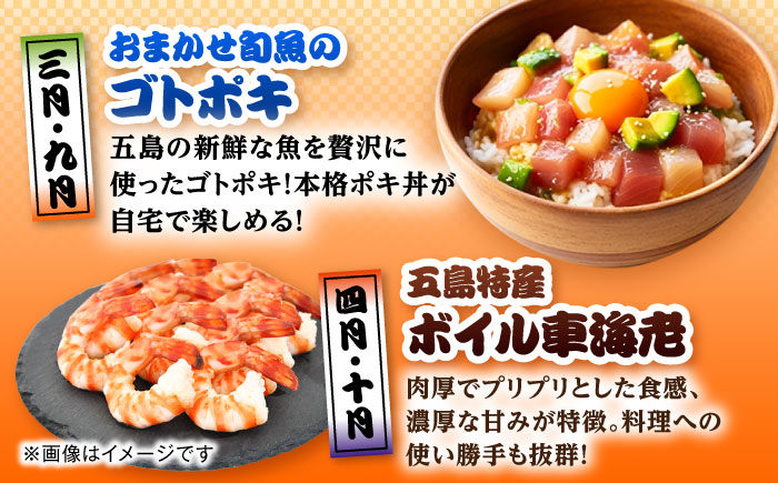 【12回定期便】五島のお魚！満喫定期便（4人前）/五島市 [PZX056]