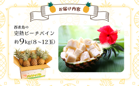 2026年 先行予約 西表島の完熟ピーチパイン 9kg (8〜12玉)【嘉本商店 完熟 果物 フルーツ】お届け：5月中旬～6月中旬頃