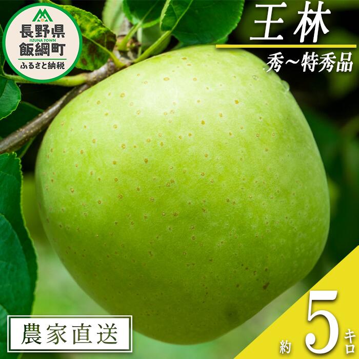 【ふるさと納税】 りんご 王林 秀 〜 特秀 5kg 中村ファーム 沖縄県への配送不可 令和7年度収穫分 長野県 飯綱町 〔 信州 果物 フルーツ リンゴ 林檎 長野 16000円 予約 農家直送 〕発送時期：2025年10月下旬〜
