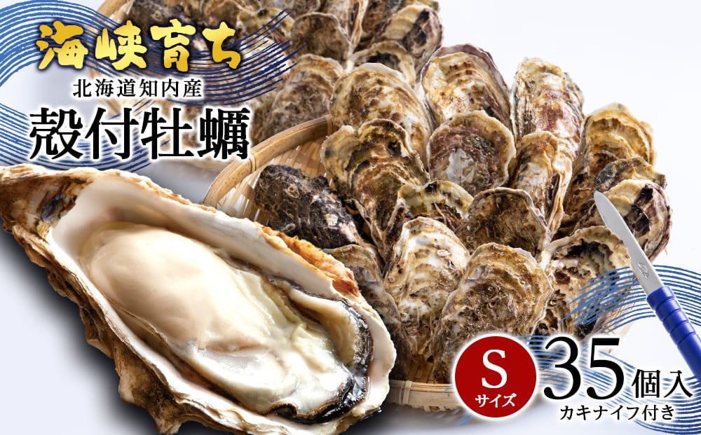 
                  【2026年3月中旬以降発送】海峡育ち 殻付き牡蠣 Sサイズ 35個入り 牡蠣ナイフ付＜上磯郡漁業協同組合＞ かき カキ 貝 海鮮 BBQ ギフト
                