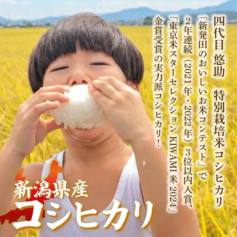 最短3日発送 新米 コシヒカリ 10kg 新潟県産 特別栽培米 単品 コンテスト 入賞 新潟 ふるさと納税 米 お米 特別栽培 白米 米 お米 こめ コメ ライス ご飯 ごはん 美味しい 贈り物 国産