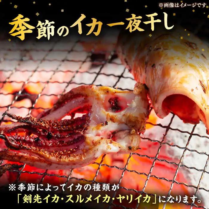 【お中元】季節のイカ一夜干し2枚＋生ウニ60g 《壱岐市》【合同会社塚元】 [JDR025] ウニ イカ セット