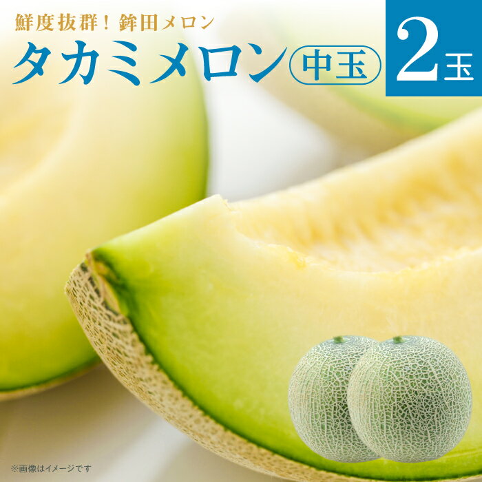 【ふるさと納税】メロン 生産量日本一 めろん 中玉 タカミメロン 緑肉 2玉 3kg〜5kg ギフト 鉾田 果物 人気 おすすめ 贈答 茨城 お返し 先行予約 スイーツ 送料無料 味 茨城県 還元率 青肉 鉾田市 デザート くだもの お取り寄せ 甘い ジューシー 期間限定 みなみ果樹園芸