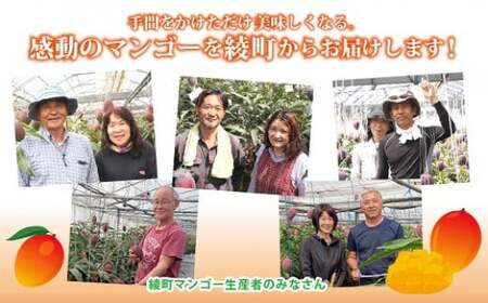 数量限定〈父の日ギフト対応〉完熟マンゴー2L×3玉（化粧箱）宮崎 綾町 完熟 マンゴー のし対応 贈答 ギフト プレゼント 父の日【JA綾町】_A0114-2291