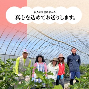 湖畔のいちじく　4パック　美活 果物 フルーツ 