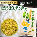 【ふるさと納税】【令和6年産】山形県産 はえぬき 5kg (5kg×1袋)