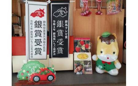 【4月発送】陽一郎園の完熟冷凍いちご 2.7kg【令和4年群馬県いちご品評会銀賞受賞】 F4H-0661