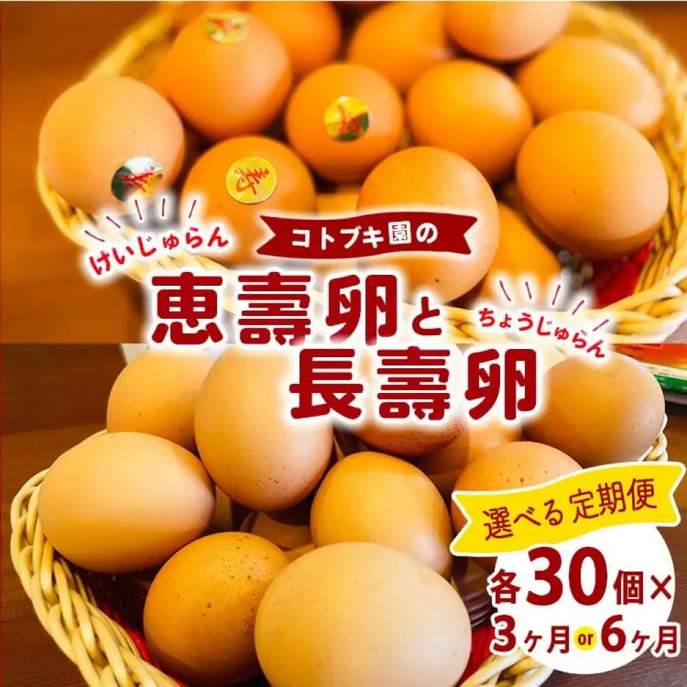 【定期便3ヶ月】当社自慢 長壽卵 30個入り＆恵壽卵 30個入り タマゴ けいじゅらん 玉子 国産　先行予約受付　※離島への配送不可｜食品