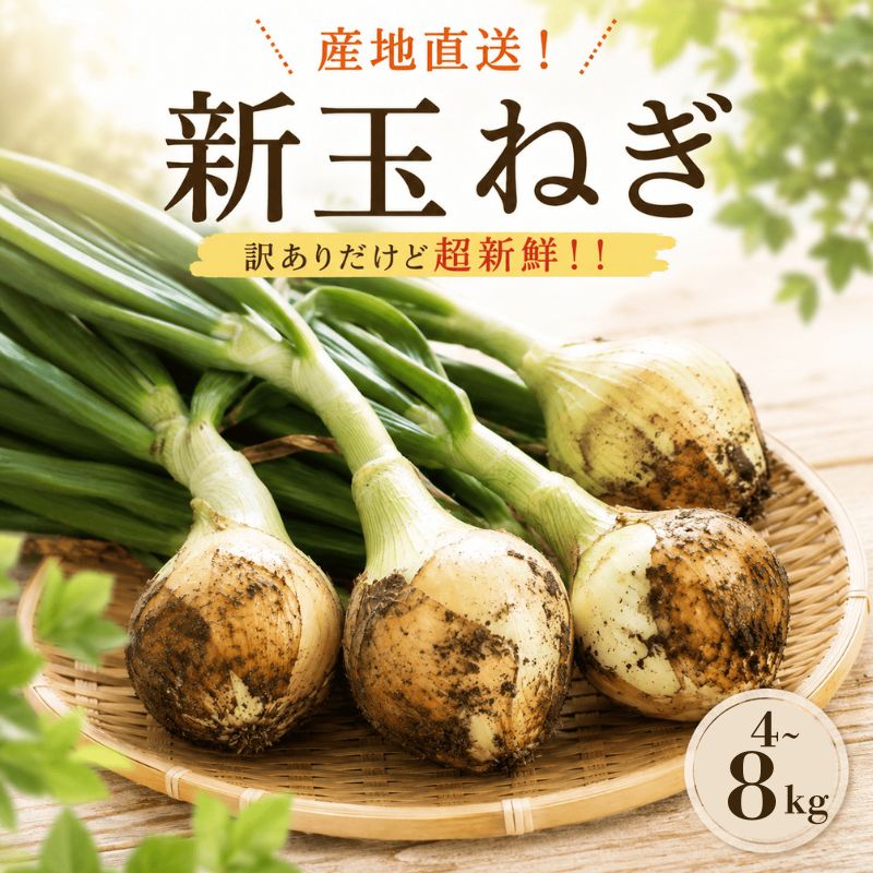 【ふるさと納税】 新たまねぎ 4kg~8kg 先行予約 土付き ネギ頭付き 国産 旬 野菜 家庭用 サラダ 炒め物 みずみずしい 甘み やわらかい 産直 産地直送 不揃い サイズ混合 保存便利 加熱調理 生食対応 春野菜 ご当地 野菜セット ふるさと納税 愛媛県 新居浜市 むぎとのやさい