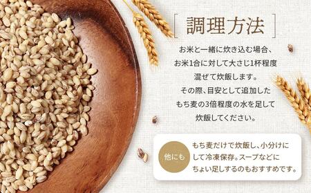 飛騨高山で有機栽培した「もち麦」はねうまもち 1kg | もち麦 雑穀 もち麦 JC016